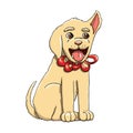Happy Labrador Retriever puppy as a present with bow-knot.