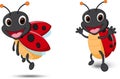 Happy Lady bug cartoon