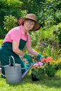 Happy lady transplanting spring flowers. Royalty Free Stock Photo