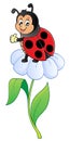 Happy ladybug on flower image 1