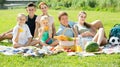 happy large family of six having picnic on green lawn in park Royalty Free Stock Photo