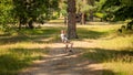 Happy laughing boy having fun riding on the zip line at summer park. Active childhood, healthy lifestyle, kids playing outdoors, Royalty Free Stock Photo