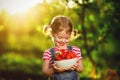 happy laughing child girl with ripe strawberry in summer on nature Royalty Free Stock Photo