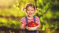 happy laughing child girl with ripe strawberry in summer on nature Royalty Free Stock Photo