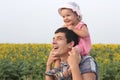Happy laughing father holding baby daughter on daddy's shoulders standing together in sunflowers meadow enjoying