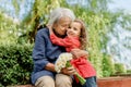 happy and laughing grandmother and her granddaughter in the park on a bench