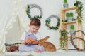 Happy laughing little boy playing with a baby rabbit, feeding it, hugging real bunny pet and learning to take care of an Royalty Free Stock Photo