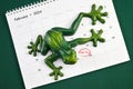 Happy Leap Day on 29 February with Jumping Frog