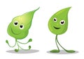 Happy leaves cartoon characters, Leaf Mascot