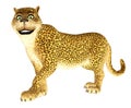Happy Leopard Royalty Free Stock Photo