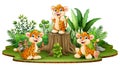 Happy leopard group with green plants Royalty Free Stock Photo