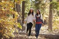 Happy lesbian couple walking in a forest holding hands