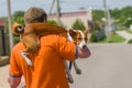 Happy life of lucky basenji