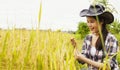 Successful business woman farmer planting rice.