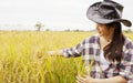 Young farmer woman sitting and looking at rice happily Successful business woman farmer planting rice.