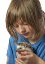 Happy litle girl with African pygmy hedgehog Royalty Free Stock Photo