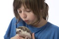 Happy litle girl with African pygmy hedgehog Royalty Free Stock Photo