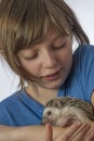 Happy litle girl with her pet African pygmy hedgehog Royalty Free Stock Photo