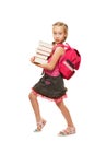 Happy litthe schoolgirl Royalty Free Stock Photo