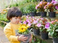 Happy little Asian baby girl holding a pot of refreshing yellow flowers