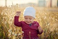 Happy little baby boy sitting and smiling on a meadow on the nature in summer sunny day. Royalty Free Stock Photo