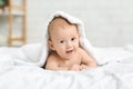 Happy little baby crawling on bed under blanket Royalty Free Stock Photo