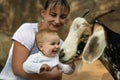 Happy little baby laughs happily while sitting on mom`s hands to