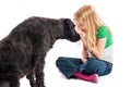 Happy little blonde girl gazing in to the face of a labradoodle. Isolated on white studio background Royalty Free Stock Photo