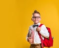 Happy little boy with backpack and books ready for school, back to school concept Royalty Free Stock Photo