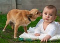 Happy little boy child and Chihuahua dog together