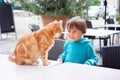 Happy little boy, child, playing with lovely cat outdoors