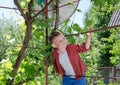 Happy little boy climbing on a metal frame Royalty Free Stock Photo