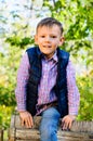 Happy little boy climbing over a fence Royalty Free Stock Photo