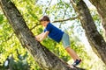Happy little boy climbing tree at park Royalty Free Stock Photo