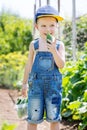 Happy little boy collects and eats a cucumber