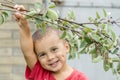 A happy little boy eats berries from a bush Royalty Free Stock Photo