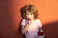 Happy little boy eats strawberries. Cute child holding a strawberry. Royalty Free Stock Photo