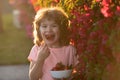 Happy little boy eats strawberries. Happy little toddler boy picking and eating strawberries. Kid funny portrait.