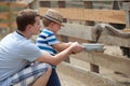 Happy little boy feeding ostrich Royalty Free Stock Photo