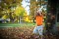 Happy little boy have fun playing with fallen golden leaves Royalty Free Stock Photo