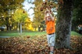 Happy little boy have fun playing with fallen golden leaves Royalty Free Stock Photo