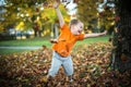 Happy little boy have fun playing with fallen golden leaves Royalty Free Stock Photo