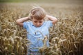 Happy little boy having fun in wheat field in summer Royalty Free Stock Photo