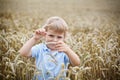 Happy little boy having fun in wheat field in summer Royalty Free Stock Photo