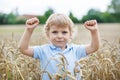 Happy little boy having fun in wheat field in summer Royalty Free Stock Photo