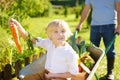 Happy little boy having fun in a wheelbarrow pushing by dad in domestic garden on warm sunny day Royalty Free Stock Photo