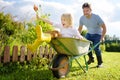 Happy little boy having fun in a wheelbarrow pushing by dad in domestic garden on warm sunny day. Active outdoors games for kids Royalty Free Stock Photo