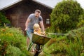 Happy little boy having fun in a wheelbarrow pushing by dad in domestic garden on warm sunny day. Child watering plants from a