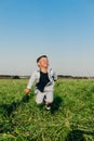 Happy little boy jumping on grass in summer sunny day Royalty Free Stock Photo