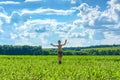 Happy little boy jumping in a green field on a background of clouds Royalty Free Stock Photo